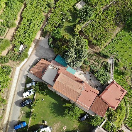 Agriturismo Mare E Monti 特拉蒙蒂 外观 照片