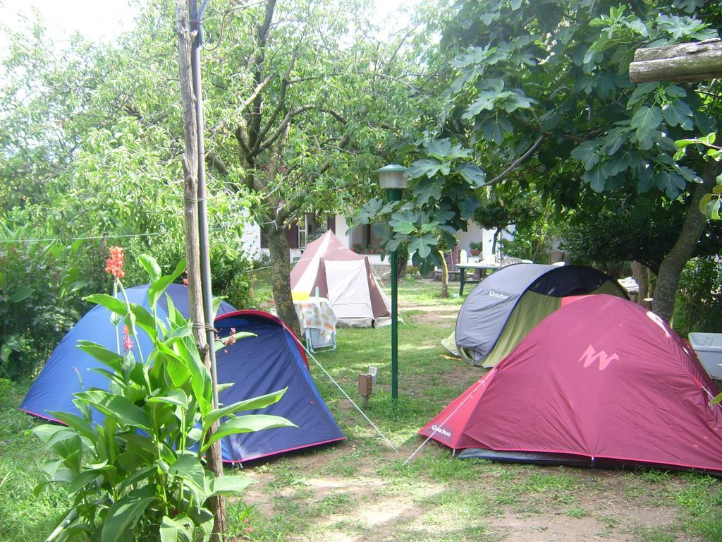 特拉蒙蒂 Agriturismo Mare E Monti旅馆 外观 照片