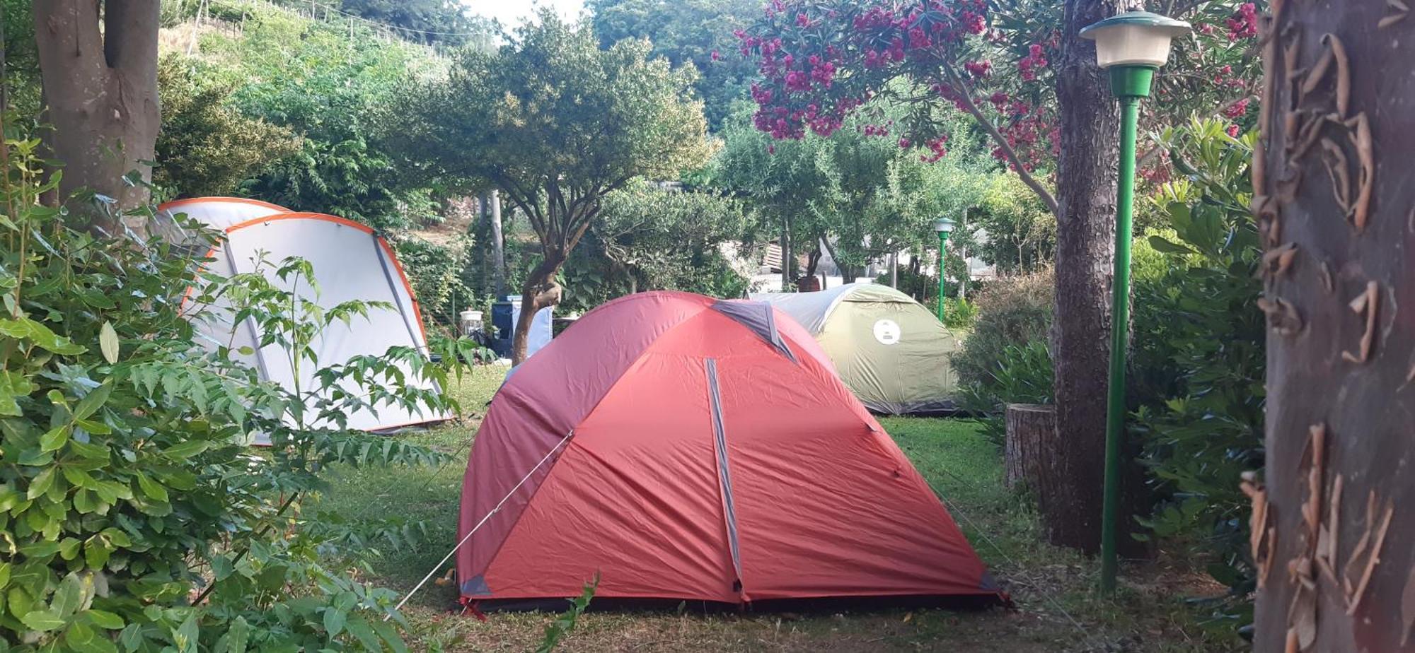Agriturismo Mare E Monti 特拉蒙蒂 外观 照片
