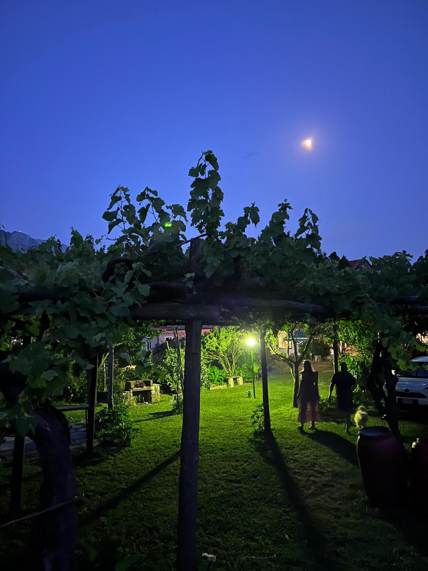 Agriturismo Mare E Monti 特拉蒙蒂 外观 照片