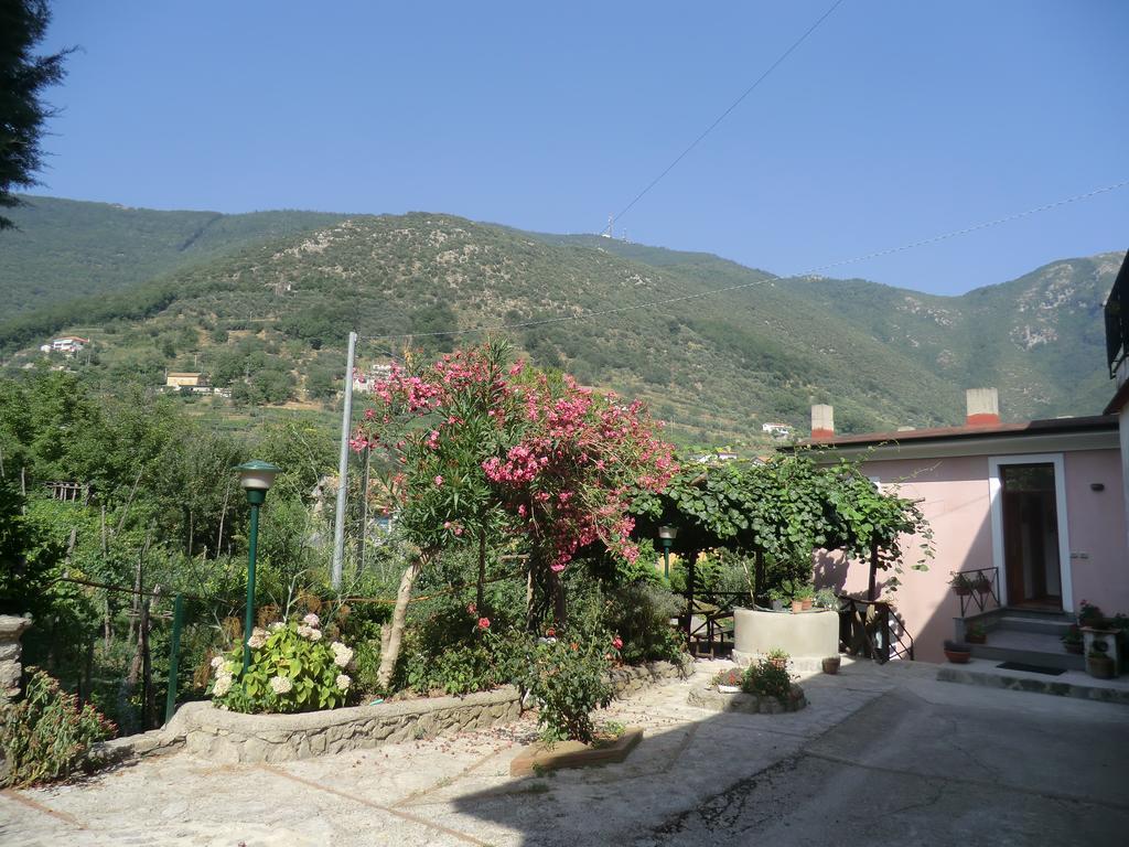 Agriturismo Mare E Monti 特拉蒙蒂 外观 照片