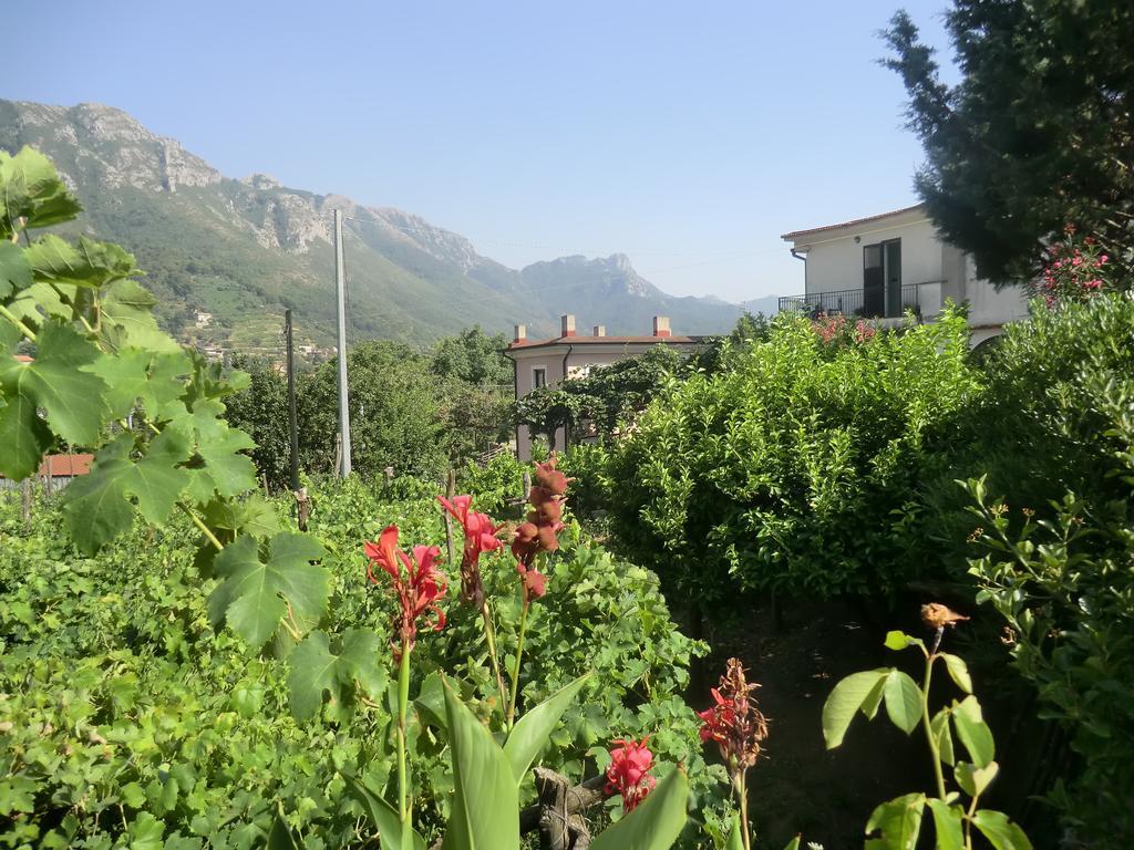 特拉蒙蒂 Agriturismo Mare E Monti旅馆 外观 照片