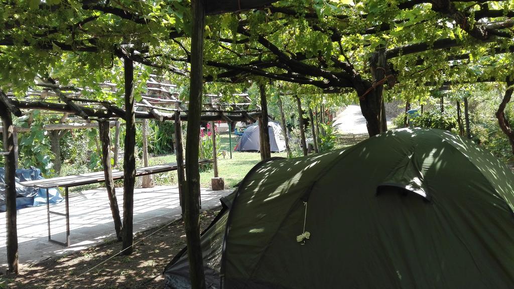 Agriturismo Mare E Monti 特拉蒙蒂 外观 照片