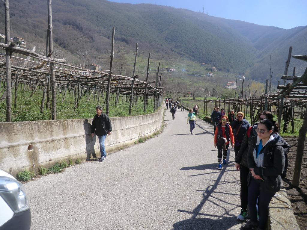 特拉蒙蒂 Agriturismo Mare E Monti旅馆 外观 照片