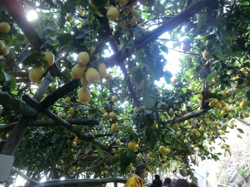 Agriturismo Mare E Monti 特拉蒙蒂 外观 照片